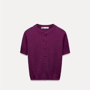 Zara Purple Sweater Short-Sleeved Knit
